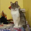 Отзыв от Алина Самсонова